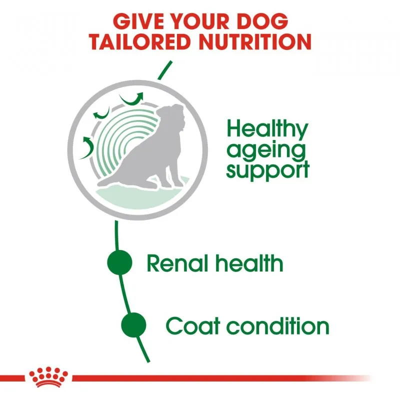 Royal Canin Size Health Nutrition Mini Ageing 12  Gravy Pouch Dog Food